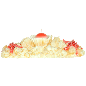 LANTERN / CANDLE Seafood Seashell 45 cm