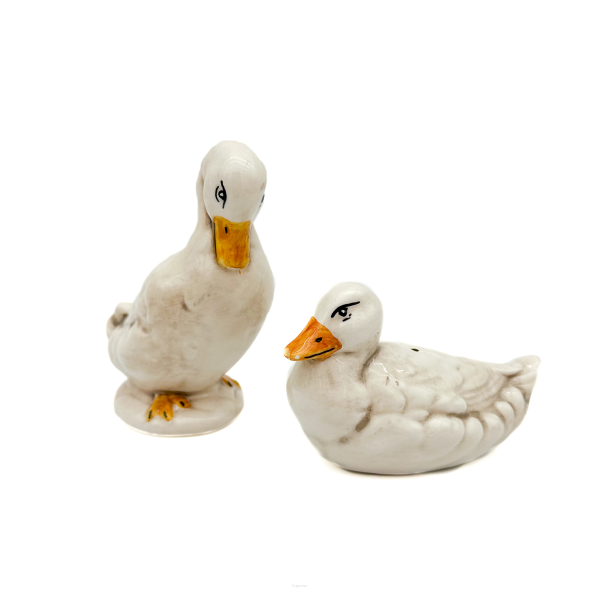 DUCK 3D Salt and Pepper Shakers 10 cm